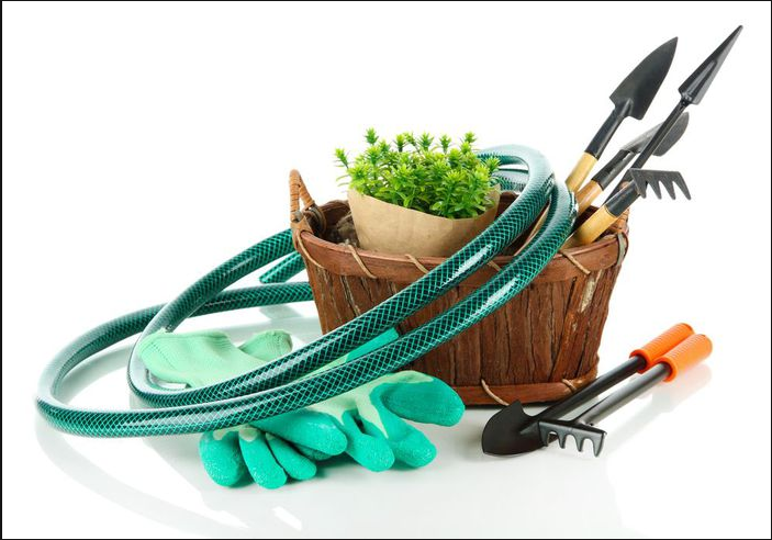 ежемесячная реклама магазина сад и огород ежемесячная реклама магазина сад и огород