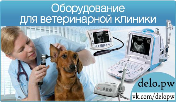 оборудование ветеринарной клиники