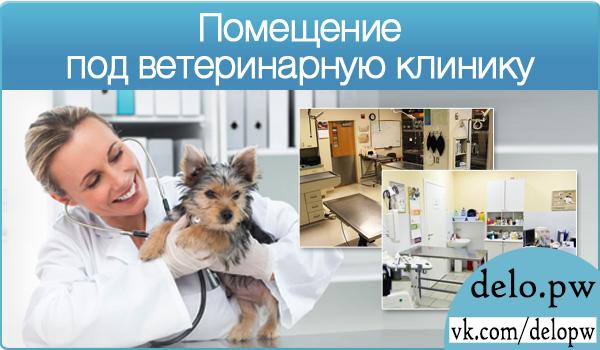 помещение под ветеринарную клинику