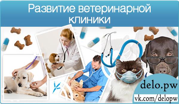 развитие ветеринарной клиники