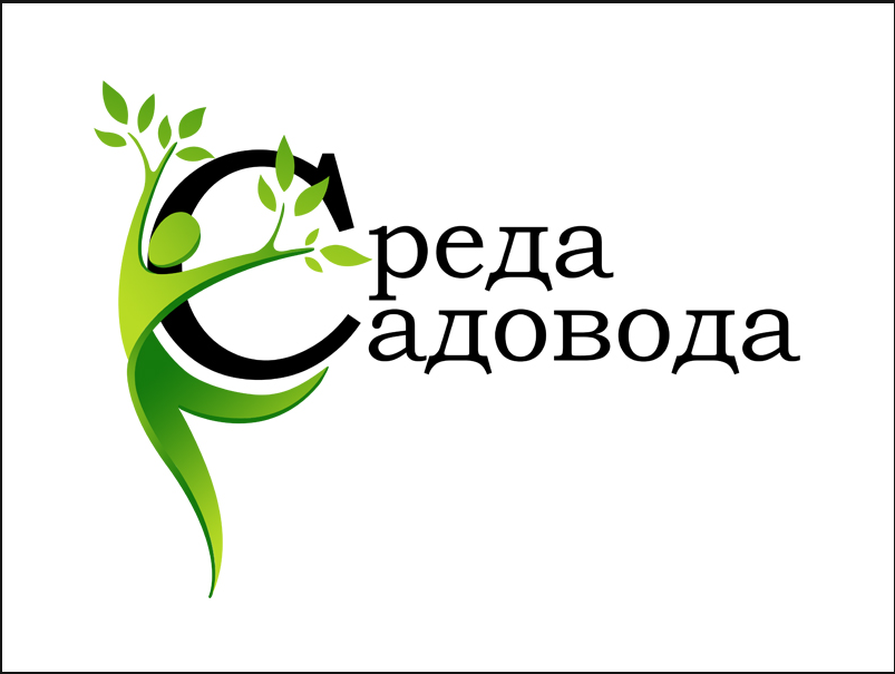 разовая реклама для магазина сад и огород разовая реклама для магазина сад и огород