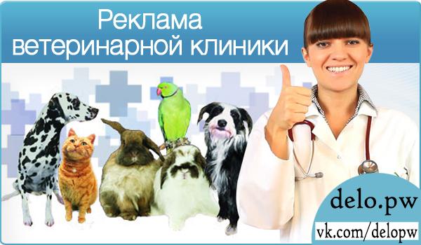реклама ветеринарной клиники