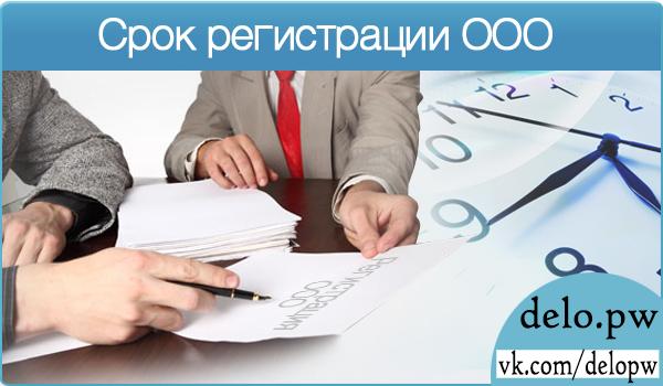 срок регистрации ООО
